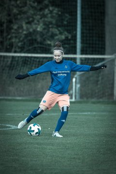 Bild 1927 - B-Juniorinnen HSV - FF USV Jena : Ergebnis: 3:1